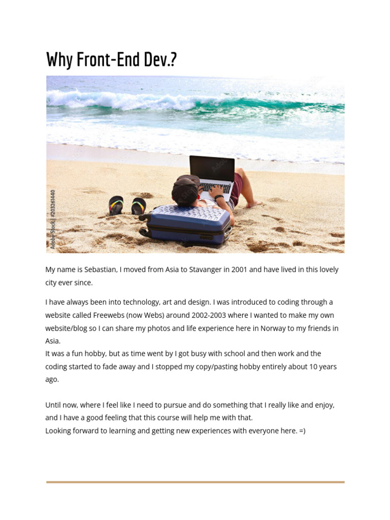 Why Front End | PDF