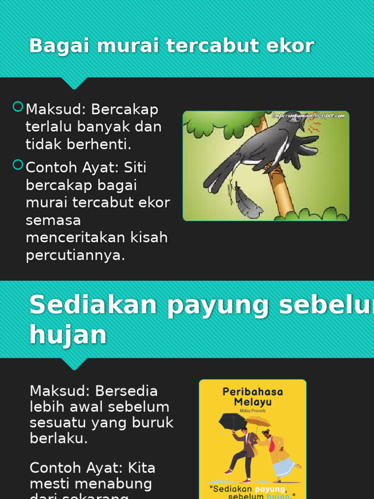 Maksud Peribahasa Bagai Murai Tercabut Ekor | PDF