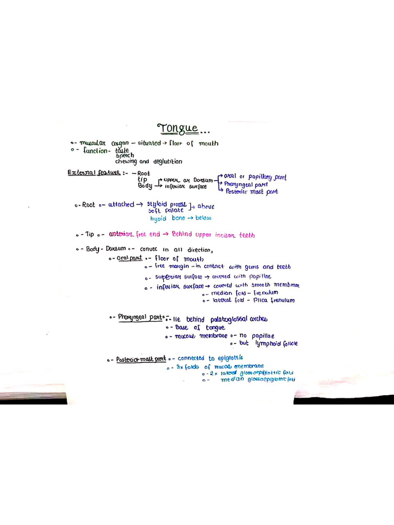Tounge | PDF