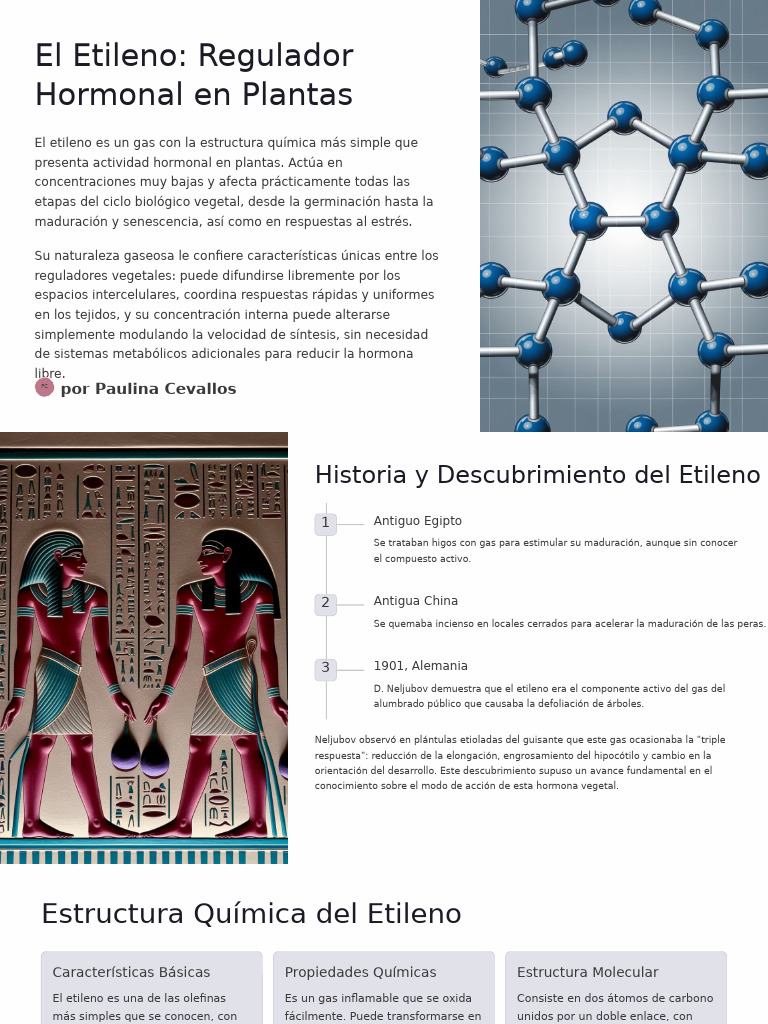 Efectos del Etileno en Plantas | PDF | Biosíntesis | Etileno