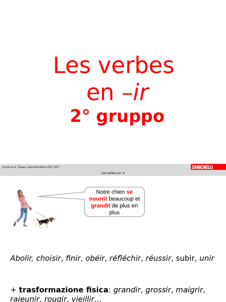 Les verbes en -ir : Conjugaison et exemples | PDF