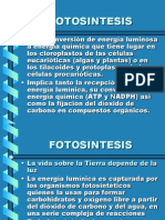 Fotosintesis Vii   PPT