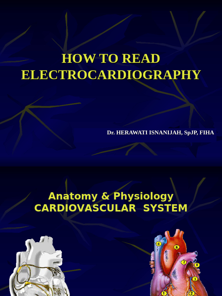 ECG Interpretation and Heart Anatomy Guide | PDF | Electrocardiography ...