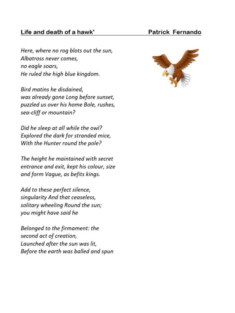 Hawk's Majesty and Tragic Fall | PDF