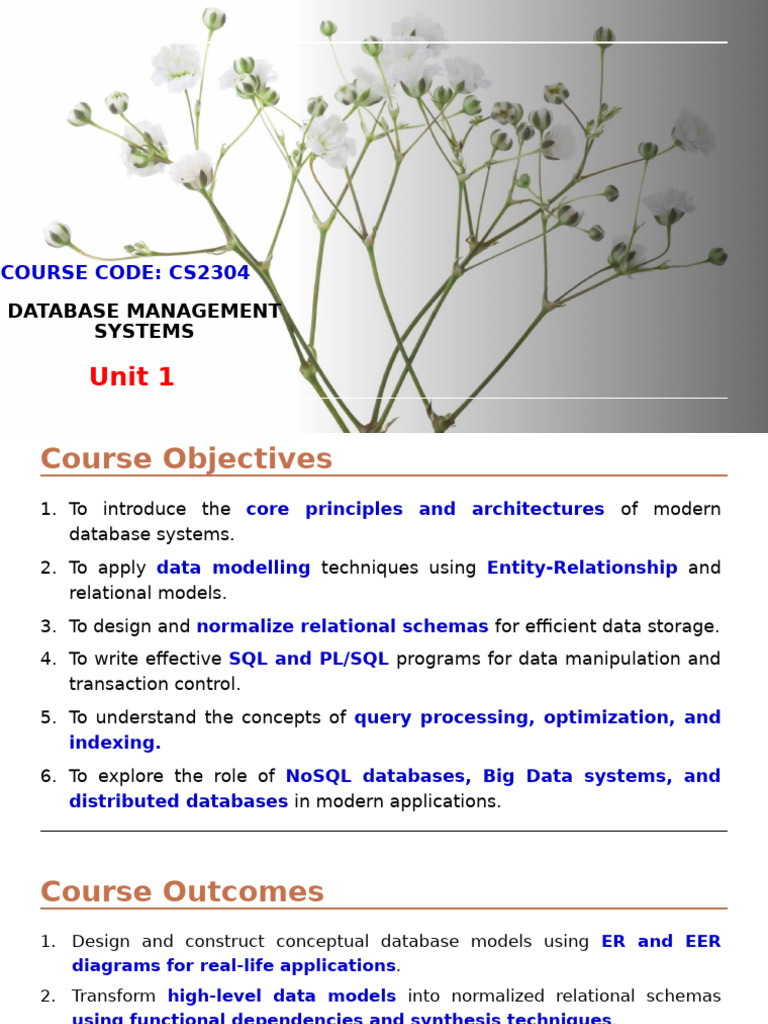 Database Management Systems Overview | PDF | Databases | Database Design