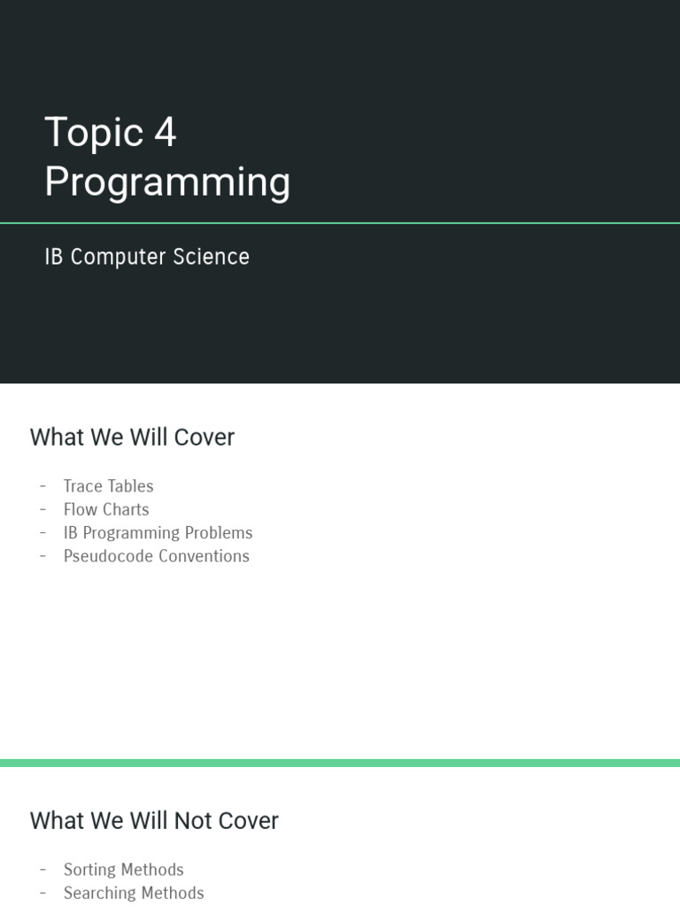 IB Computer Science Programming Guide | PDF | Computer Programming