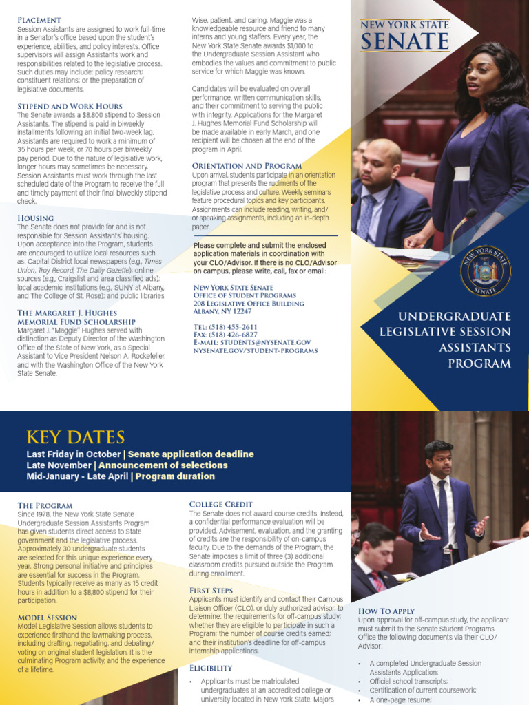 New York Senate Undergraduate Program | PDF | Academia | Higher Education