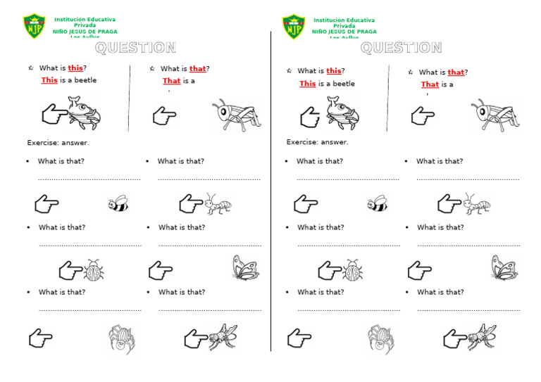 Insect Identification Exercises for Kids | PDF