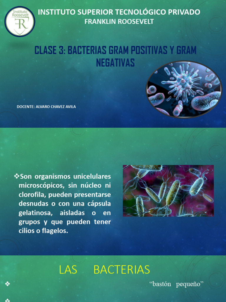 Clase 3 Bacterias | PDF | Las bacterias | Bacterias Gram-negativo