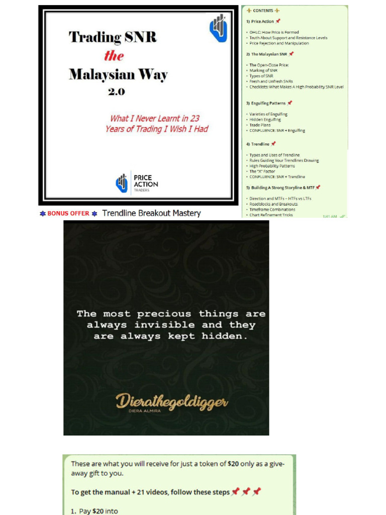 Malaysian SNR Trading Strategy Guide | PDF | Private Sector | Market ...