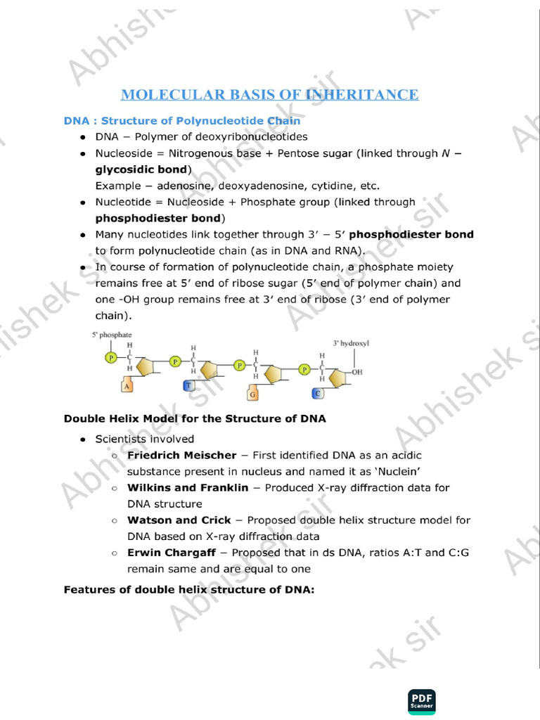 ACE Scanner Overview and Features | PDF