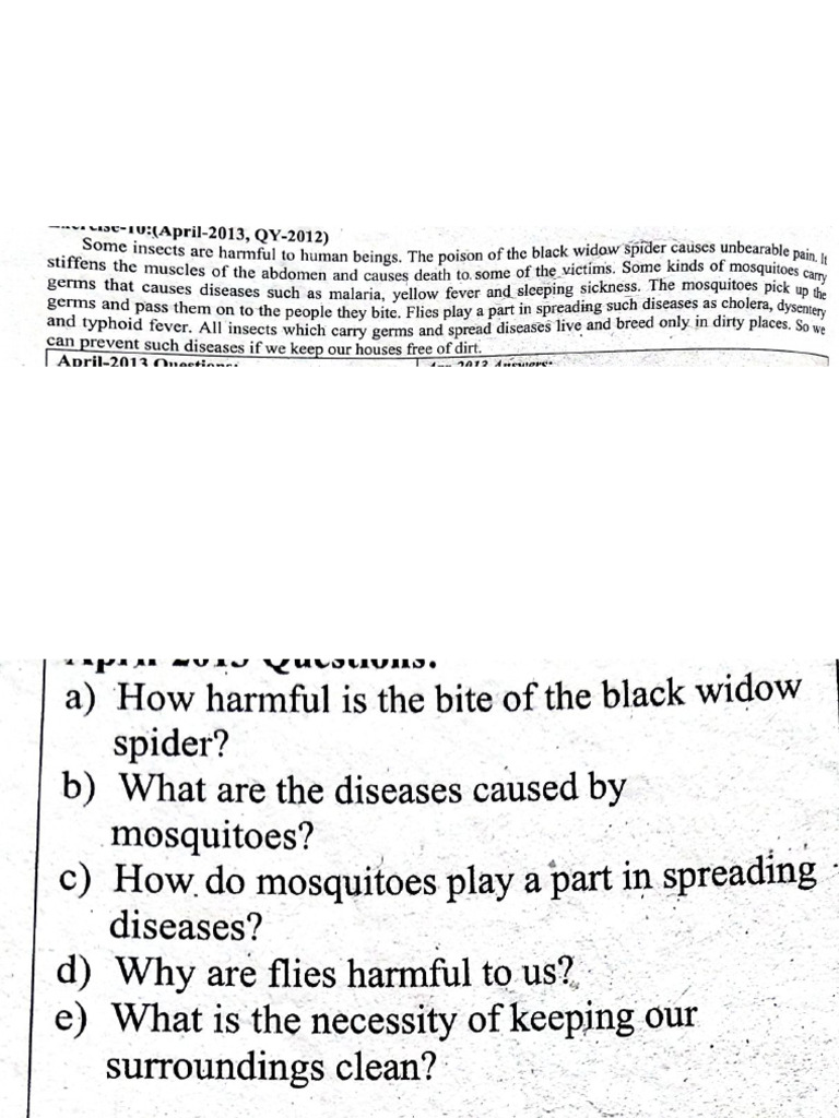 Grade 7, English | PDF