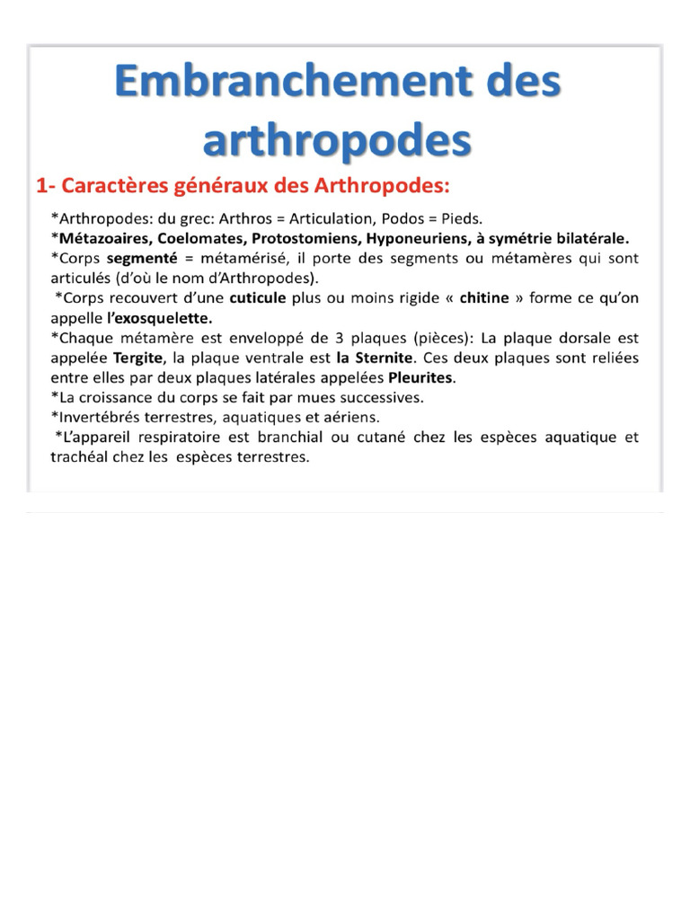 Arthropode Résumer by Aisa | PDF