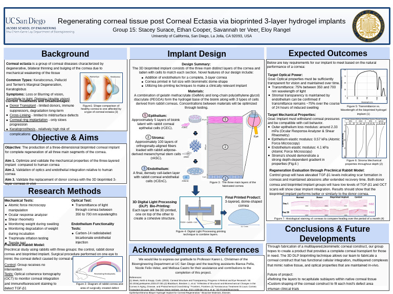 3D Bioprinted Corneal Implant Design | PDF | Cornea | Human Eye