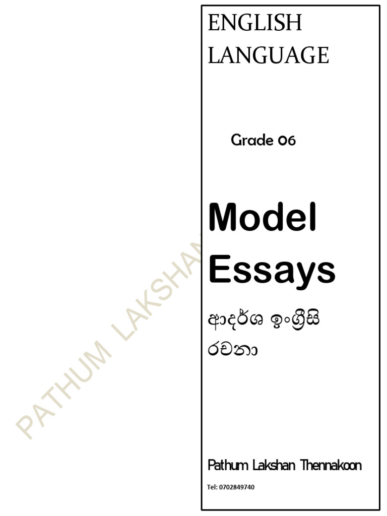 Grade 6 Essays | PDF