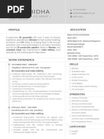 Willey Studios Chelda Model 3 Sets 81 PDF | PDF | Business