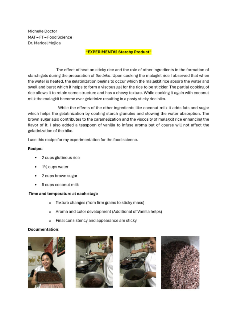 Effects of Heat on Sticky Rice Biko | PDF