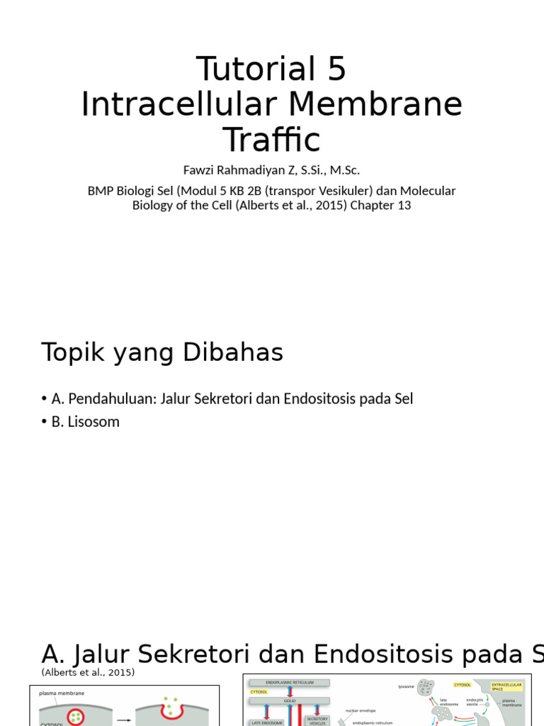 Tutorial 5-Intracellular Membrane Traffic FRZ Upload | PDF
