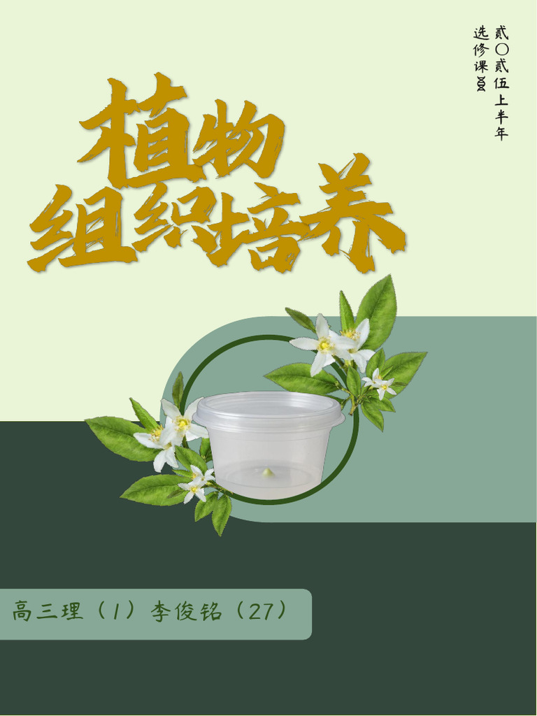 ZWZZPY | PDF, image size:768x1024