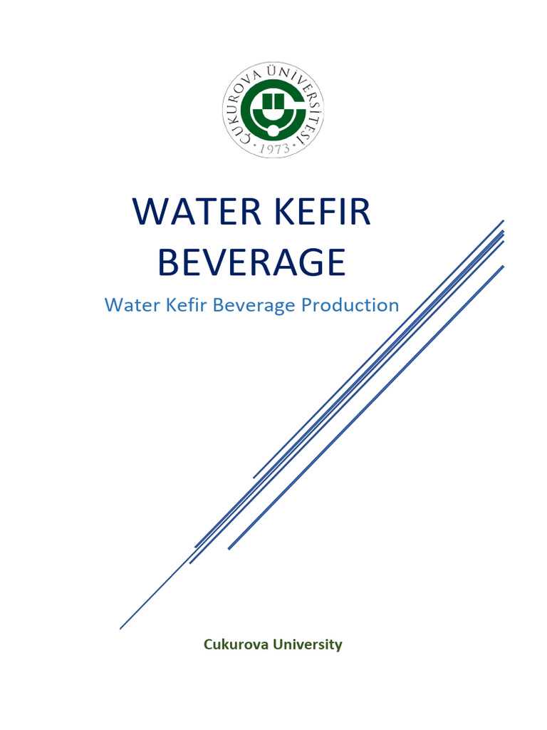 Water Kefir Beverage Production Guide | PDF | Food Science