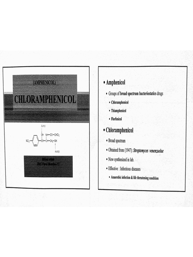 Chlo Ramp He Nicol | PDF