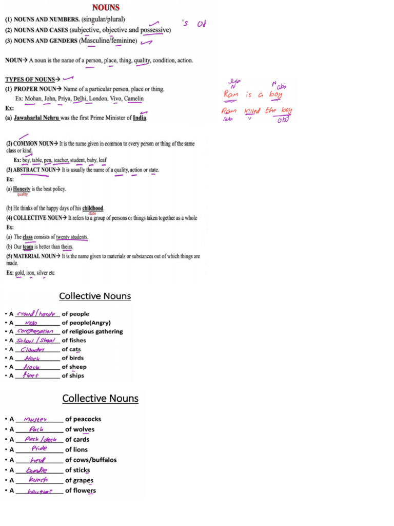 Noun | PDF