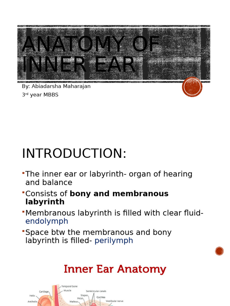 Anatomy of the Inner Ear and Ménière's Disease | PDF | Ear | Anatomy