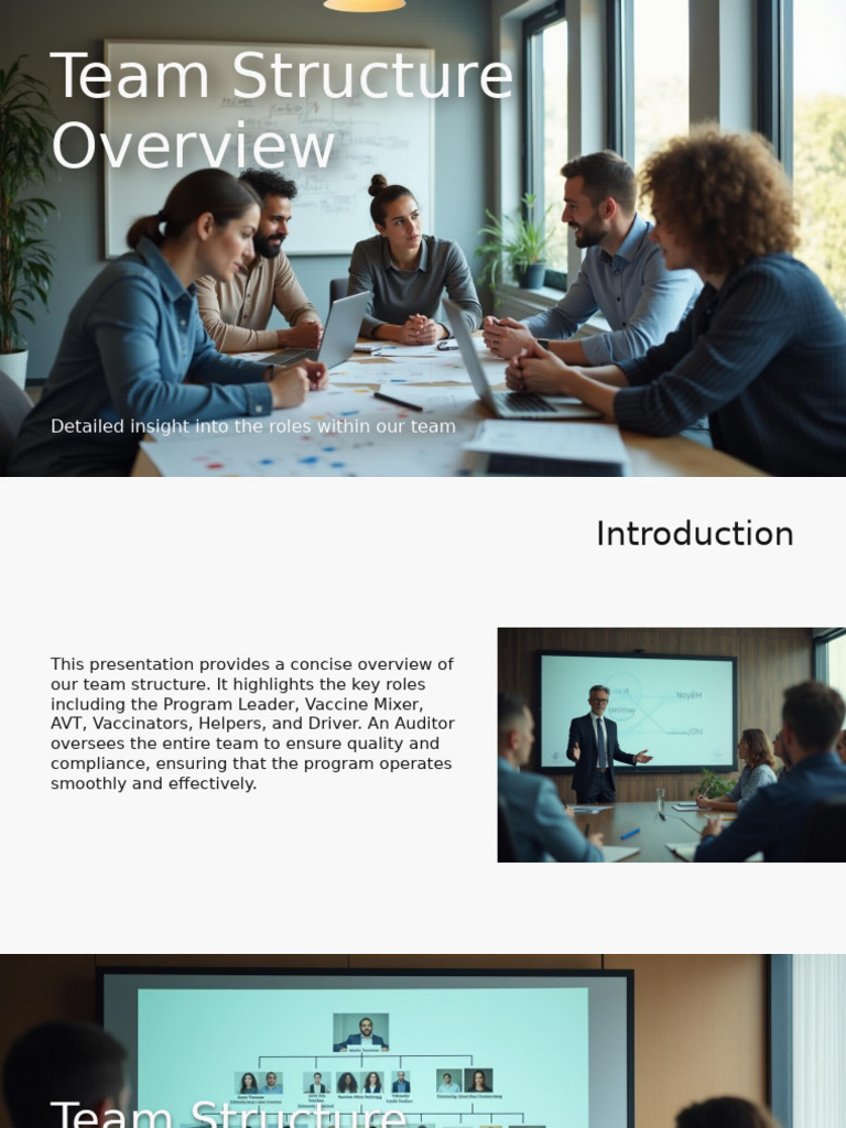 Team Structure Overview | PDF
