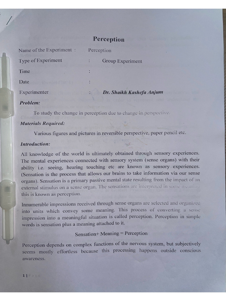 Perception | PDF