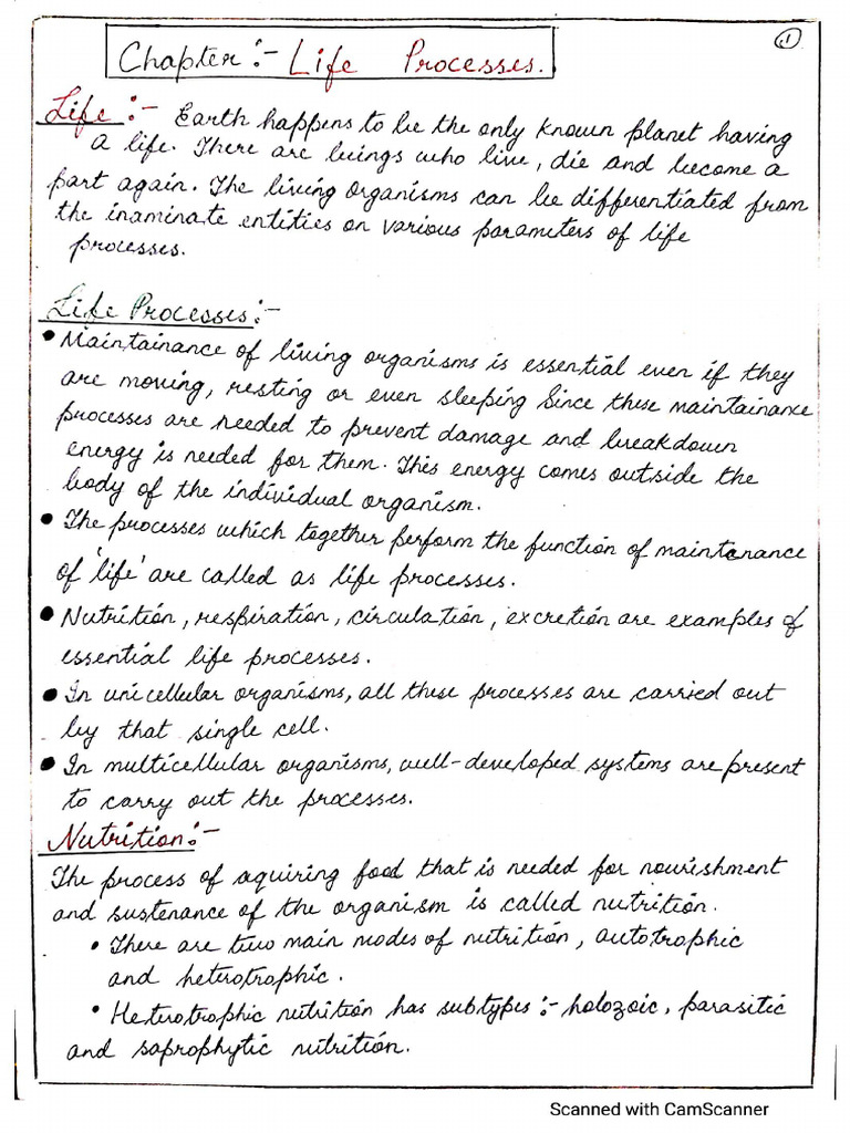 Life Process 10th Notes | PDF