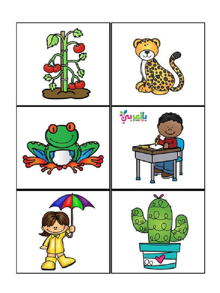 Colour Prints | PDF