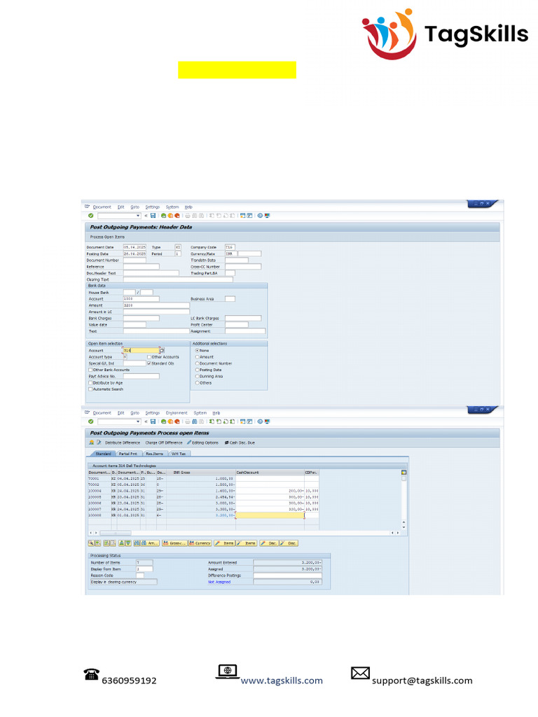 SAP Payment Reversal Using FBRA | PDF