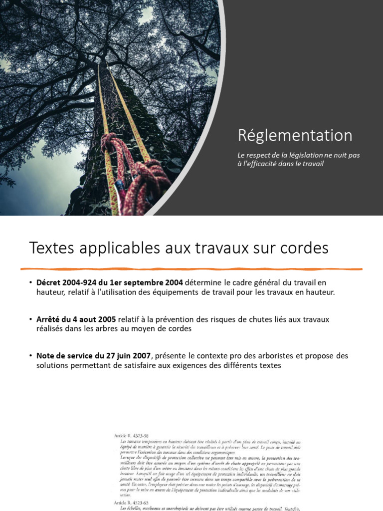 Réglementation des travaux en hauteur | PDF | Arbres | Sécurité