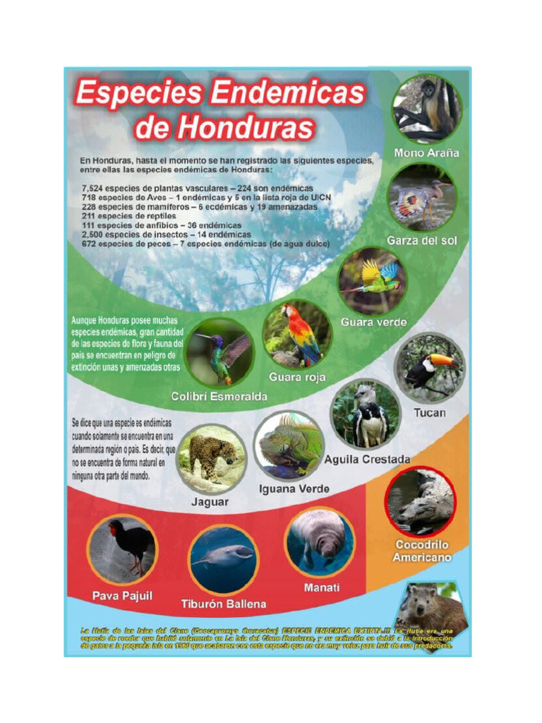 Especies Endemicas de Honduras | PDF