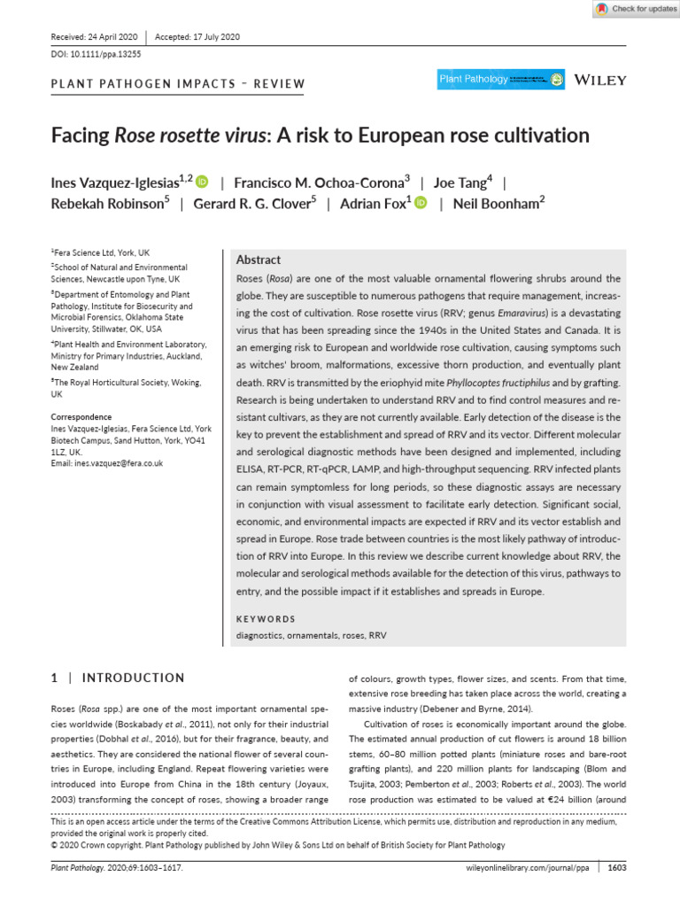 Plant Pathology - 2020 - Vazquez Iglesias - Facing Rose Rosette Virus A ...