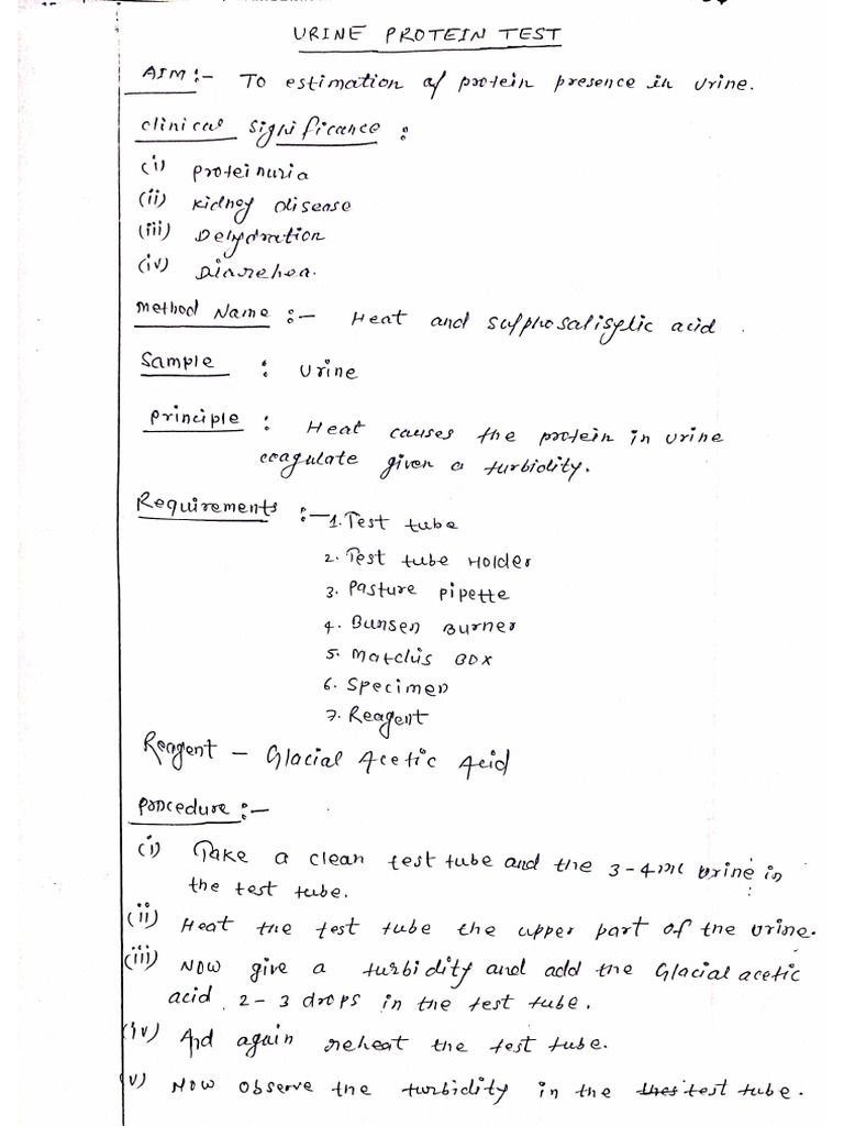 Urine Protein Test (Practical) | PDF