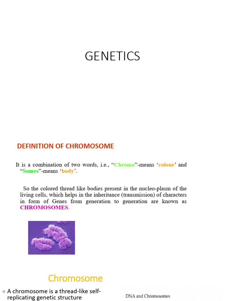 Understanding Chromosomes and Abnormalities | PDF | Ploidy | Chromosome