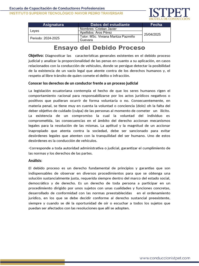 Análisis del Debido Proceso Judicial | PDF | Debido al proceso ...