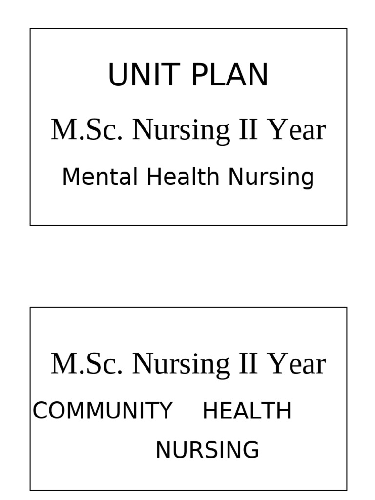 M.Sc. Nursing II Year Community Health Plan | PDF | Respiratory ...