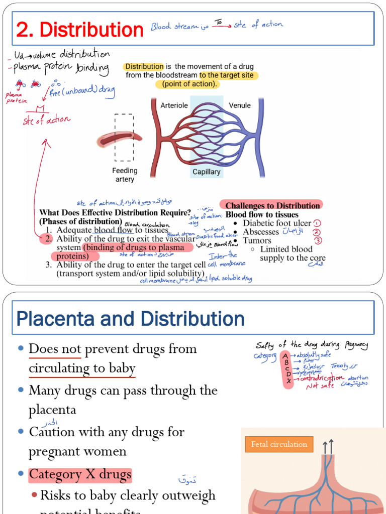 Drug Distribution and Volume Insights | PDF | Medical Specialties
