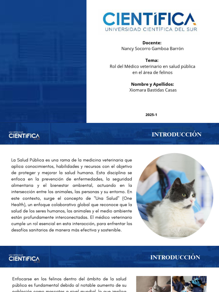 Médico Veterinario y Salud Pública Felina | PDF | Gatos | Microbiología