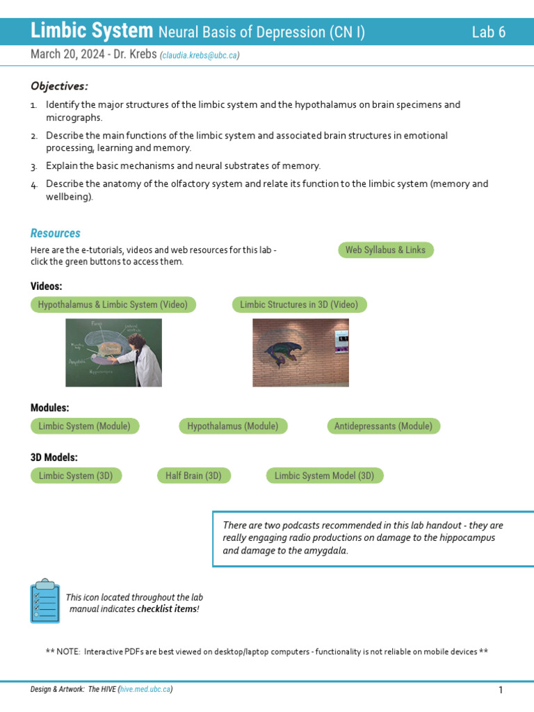 Limbic System and Depression Insights | PDF | Limbic System | Hypothalamus