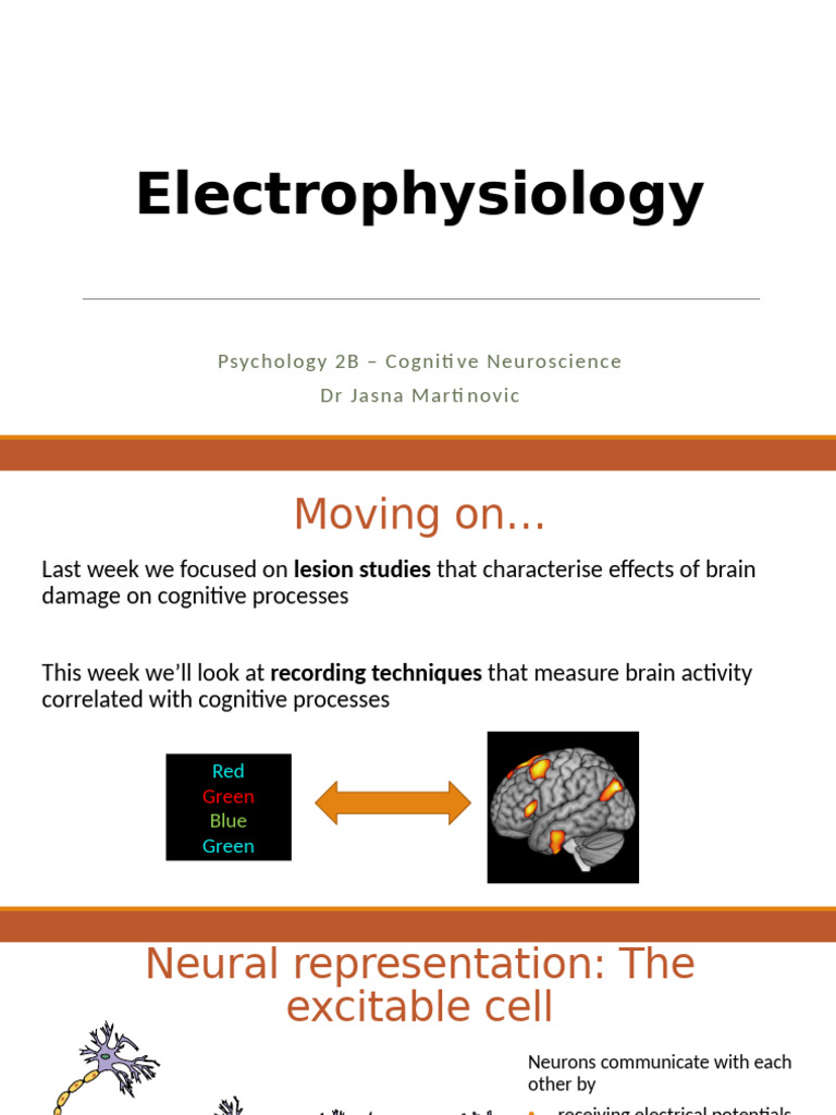 2B Lecture4 Electrophys 2023 | PDF | Event Related Potential ...