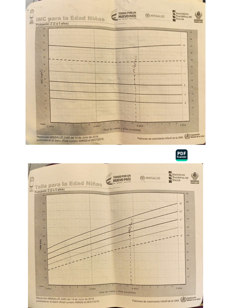 ACE Scanner - 2025 - 05 - 15 | PDF