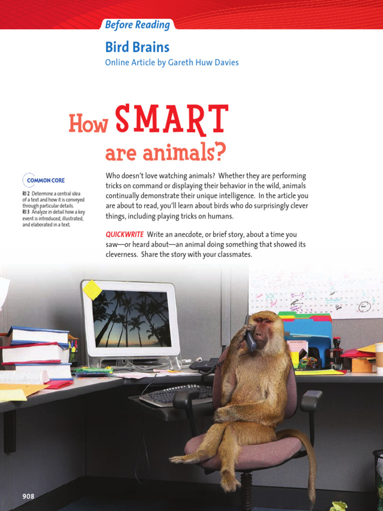 Clever Birds: Intelligence in Action | PDF | Vocabulary | Parrot