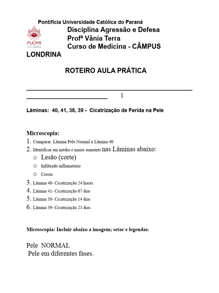 Roteiro 12 Cicatriza C3 A7 C3 A3o de Feridas Na Pele | PDF | Cura ...