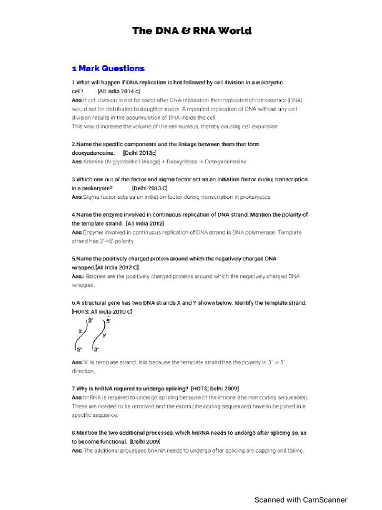 PYQ Part - 1 | PDF
