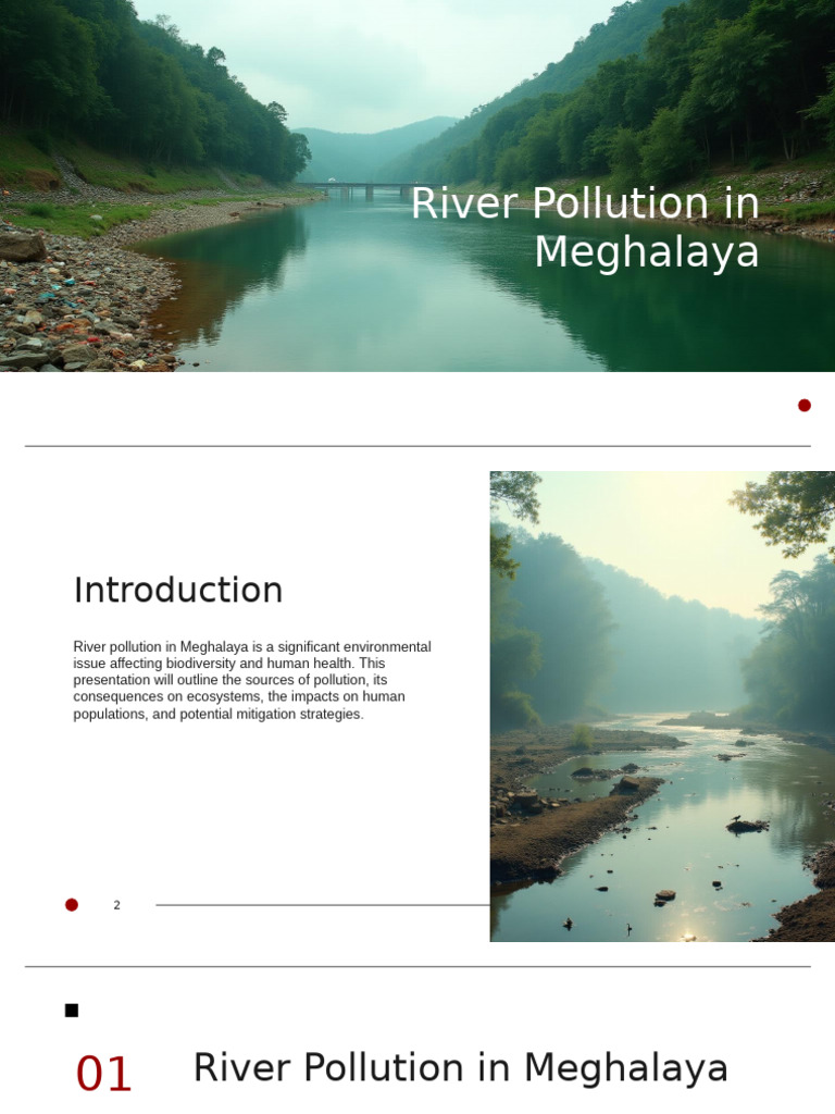 River Pollution in Meghalaya: Impact & Solutions | PDF | Water ...