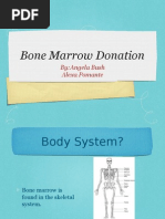 Download Bone Marrow Donation by sueiannacci SN8905075 doc pdf