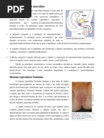 Doença sexualmente transmissível